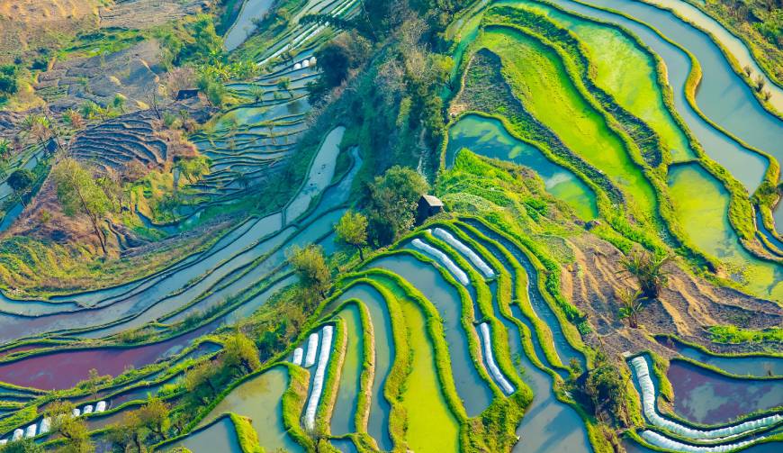 宝妈必备神器：漳浦县产品视频拍摄轻松育儿好帮手