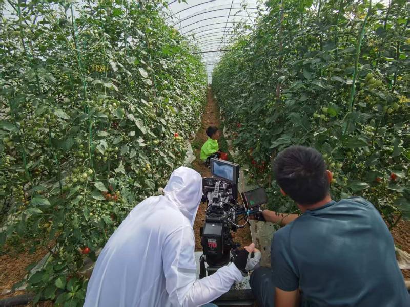 漳浦县产品宣传视频拍摄公司进阶指南，助力品牌抢占传播高地